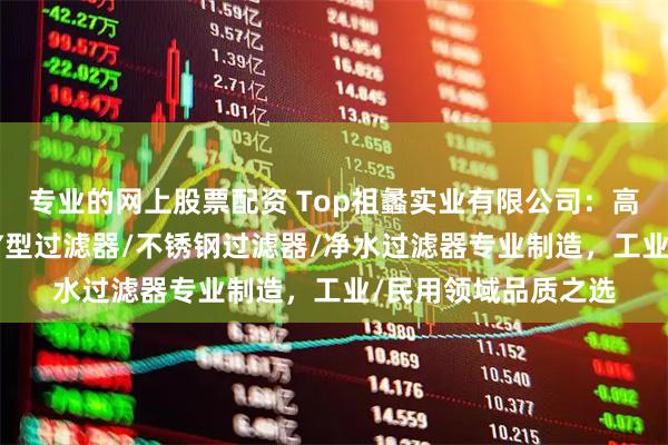 专业的网上股票配资 Top祖蠡实业有限公司：高效过滤器/过滤器/Y型过滤器/不锈钢过滤器/净水过滤器专业制造，工业/民用领域品质之选