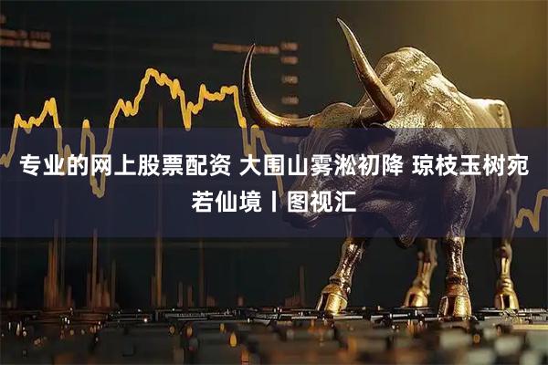 专业的网上股票配资 大围山雾淞初降 琼枝玉树宛若仙境丨图视汇