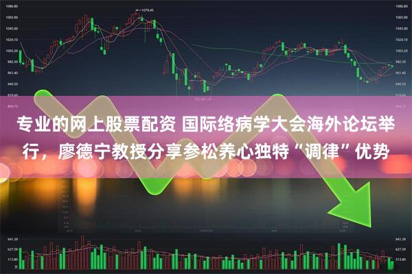 专业的网上股票配资 国际络病学大会海外论坛举行，廖德宁教授分享参松养心独特“调律”优势